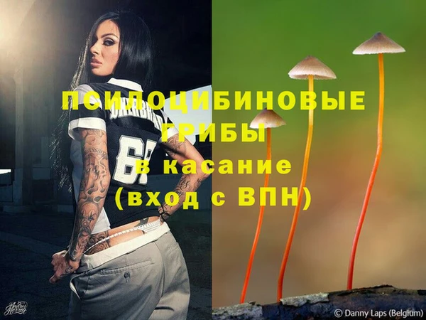 трава Мегион