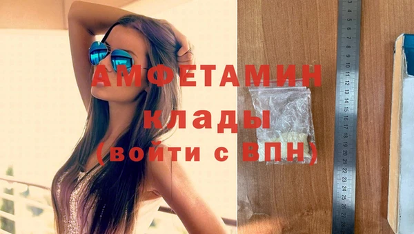 стаф Медногорск