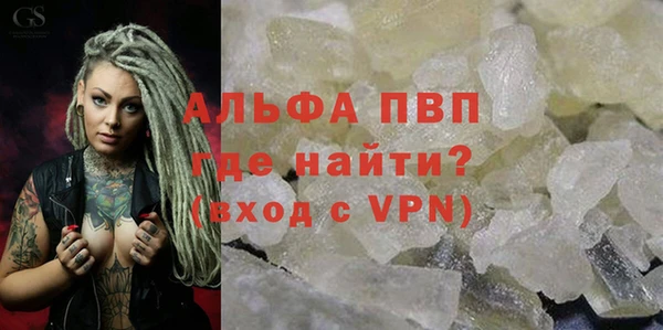 стаф Медногорск