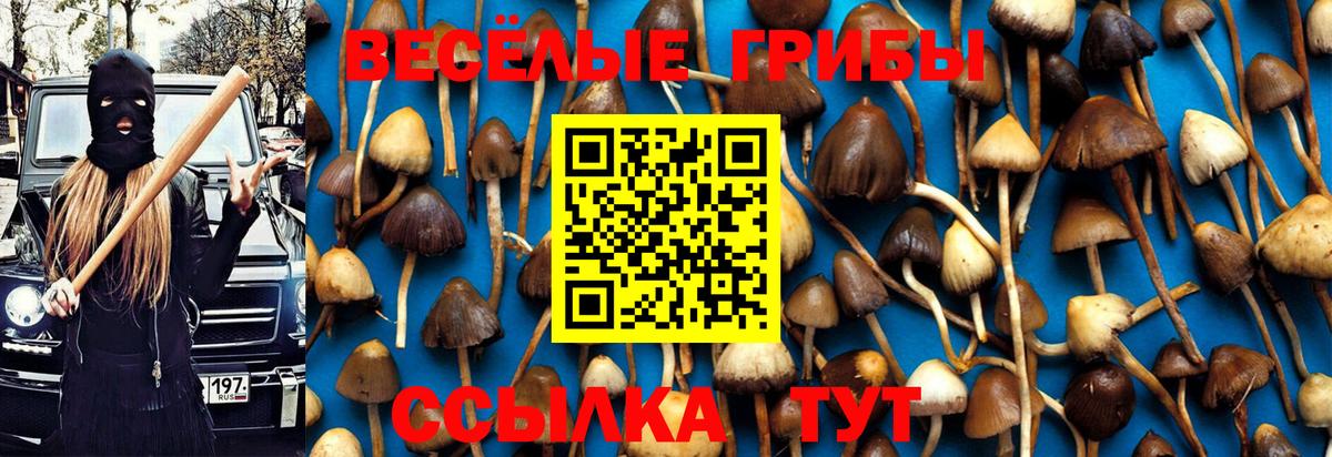Кострома  Галлюциногенные грибы Magic Shrooms  Псилоцибиновые грибы Cubensis  Вход с VPN 